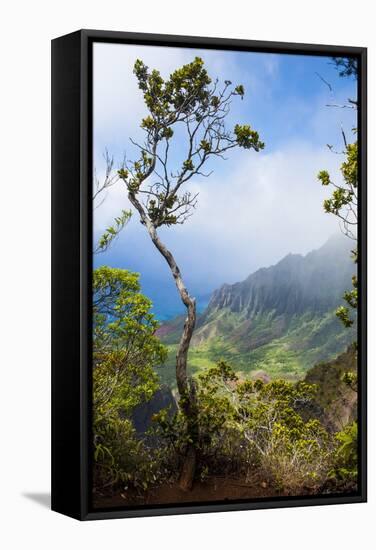 Kalalau Lookout over the Napali Coast from the Kokee State Park-Michael Runkel-Framed Stretched Canvas