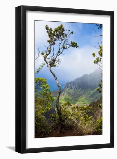 Kalalau Lookout over the Napali Coast from the Kokee State Park-Michael Runkel-Framed Photographic Print