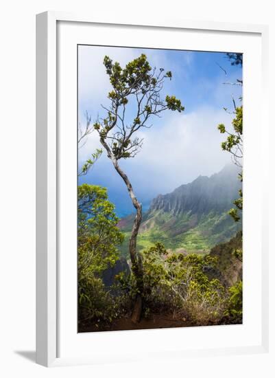 Kalalau Lookout over the Napali Coast from the Kokee State Park-Michael Runkel-Framed Photographic Print