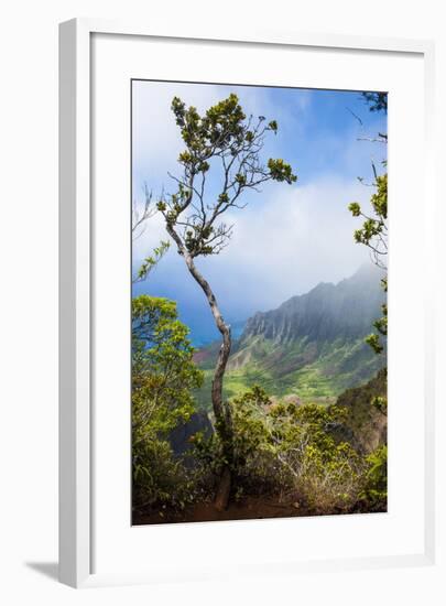 Kalalau Lookout over the Napali Coast from the Kokee State Park-Michael Runkel-Framed Photographic Print