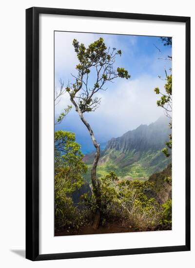 Kalalau Lookout over the Napali Coast from the Kokee State Park-Michael Runkel-Framed Photographic Print