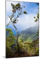 Kalalau Lookout over the Napali Coast from the Kokee State Park-Michael Runkel-Mounted Photographic Print