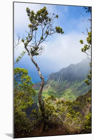 Kalalau Lookout over the Napali Coast from the Kokee State Park-Michael Runkel-Mounted Photographic Print