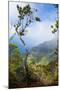Kalalau Lookout over the Napali Coast from the Kokee State Park-Michael Runkel-Mounted Photographic Print