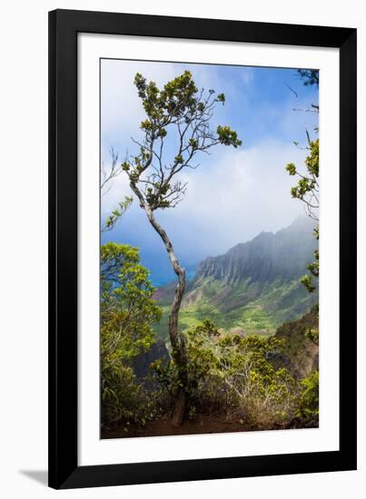 Kalalau Lookout over the Napali Coast from the Kokee State Park-Michael Runkel-Framed Photographic Print