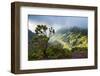 Kalalau Lookout over the Napali Coast from the Kokee State Park-Michael Runkel-Framed Photographic Print