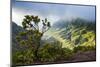 Kalalau Lookout over the Napali Coast from the Kokee State Park-Michael Runkel-Mounted Photographic Print