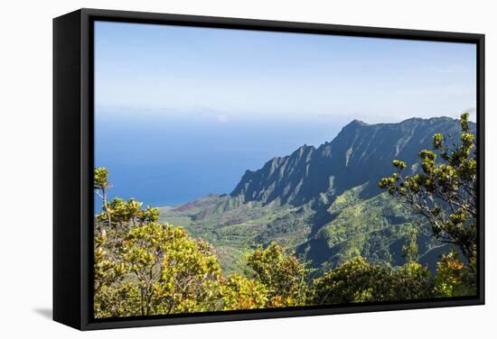 Kalalau Valley, Napali Coast State Park Kauai, Hawaii, United States of America, Pacific-Michael DeFreitas-Framed Stretched Canvas