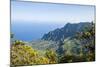 Kalalau Valley, Napali Coast State Park Kauai, Hawaii, United States of America, Pacific-Michael DeFreitas-Mounted Photographic Print