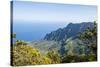 Kalalau Valley, Napali Coast State Park Kauai, Hawaii, United States of America, Pacific-Michael DeFreitas-Stretched Canvas