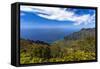 Kalalau Valley Overlook in Kauai-Andrew Shoemaker-Framed Stretched Canvas