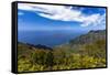 Kalalau Valley Overlook in Kauai-Andrew Shoemaker-Framed Stretched Canvas