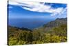 Kalalau Valley Overlook in Kauai-Andrew Shoemaker-Stretched Canvas