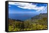 Kalalau Valley Overlook in Kauai-Andrew Shoemaker-Framed Stretched Canvas