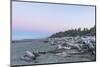 Kalaloch Beach Dawn-Rob Tilley-Mounted Photographic Print