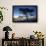 Kalaloch Beach, Olympic Peninsula, wind blown tree.-Jolly Sienda-Framed Photographic Print displayed on a wall