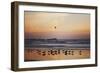 Kalaloch Birds III-Laura Marshall-Framed Premium Giclee Print