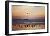 Kalaloch Birds III-Laura Marshall-Framed Premium Giclee Print