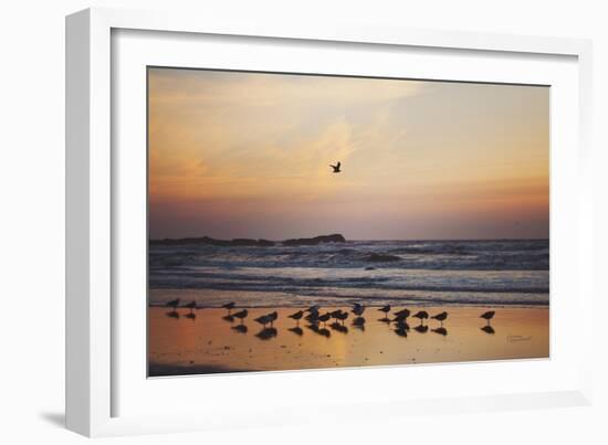 Kalaloch Birds III-Laura Marshall-Framed Premium Giclee Print