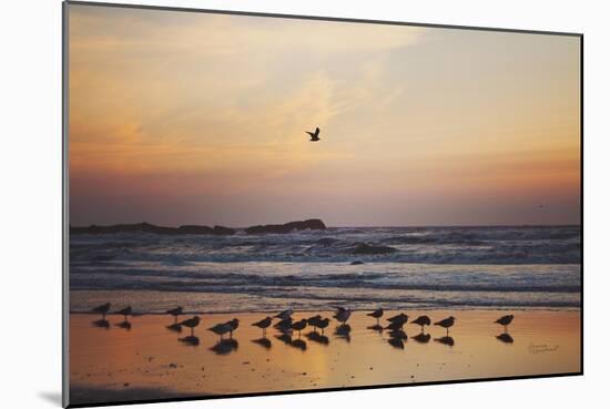 Kalaloch Birds III-Laura Marshall-Mounted Premium Giclee Print