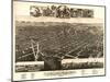 Kalamazoo, Michigan - Panoramic Map-Lantern Press-Mounted Art Print