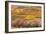 Kale?doscope-Viviane Fedieu Daniel-Framed Photographic Print