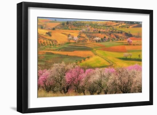 Kale?doscope-Viviane Fedieu Daniel-Framed Photographic Print