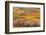 Kale?doscope-Viviane Fedieu Daniel-Framed Photographic Print