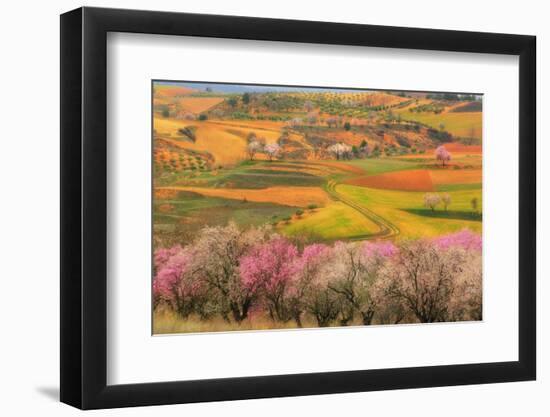 Kale?doscope-Viviane Fedieu Daniel-Framed Photographic Print