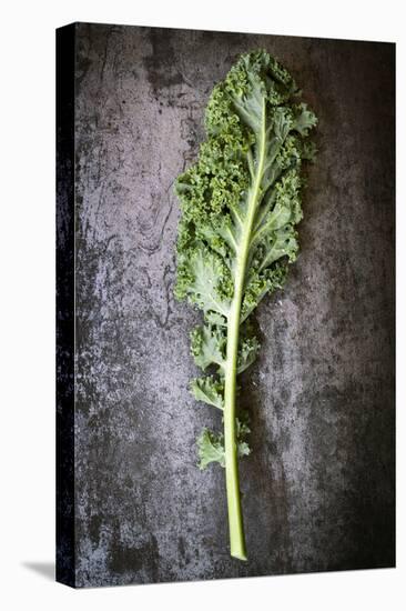 Kale Leaf, Overhead View on Dark Slate-Robyn Mackenzie-Stretched Canvas
