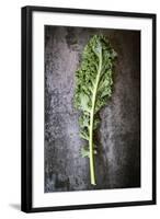 Kale Leaf, Overhead View on Dark Slate-Robyn Mackenzie-Framed Photographic Print