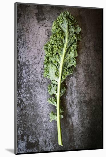 Kale Leaf, Overhead View on Dark Slate-Robyn Mackenzie-Mounted Photographic Print