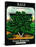 Kale Seed Packet-Lantern Press-Framed Stretched Canvas