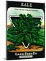 Kale Seed Packet-Lantern Press-Mounted Art Print