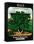 Kale Seed Packet-Lantern Press-Framed Stretched Canvas