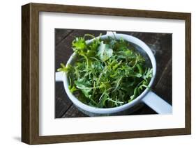 Kale-RJGrant-Framed Photographic Print