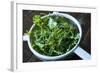 Kale-RJGrant-Framed Photographic Print