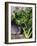 Kale-Eising Studio - Food Photo and Video-Framed Photographic Print