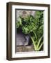 Kale-Eising Studio - Food Photo and Video-Framed Photographic Print