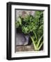 Kale-Eising Studio - Food Photo and Video-Framed Photographic Print