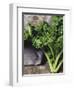 Kale-Eising Studio - Food Photo and Video-Framed Photographic Print