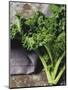 Kale-Eising Studio - Food Photo and Video-Mounted Photographic Print