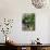 Kale-Eising Studio - Food Photo and Video-Photographic Print displayed on a wall