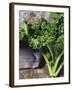 Kale-Eising Studio - Food Photo and Video-Framed Photographic Print