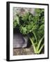 Kale-Eising Studio - Food Photo and Video-Framed Photographic Print