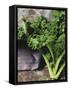 Kale-Eising Studio - Food Photo and Video-Framed Stretched Canvas