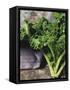 Kale-Eising Studio - Food Photo and Video-Framed Stretched Canvas