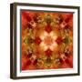 Kaleidoscope 3-RUNA-Framed Giclee Print