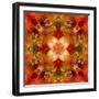 Kaleidoscope 3-RUNA-Framed Giclee Print