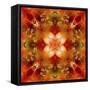 Kaleidoscope 3-RUNA-Framed Stretched Canvas